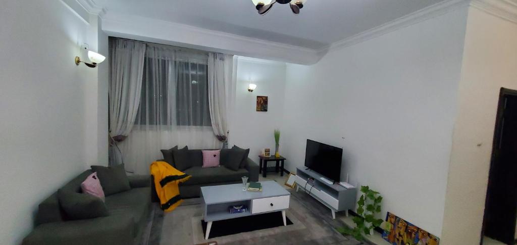 a living room with a couch and a tv at Cozy 1-bedroom luxury Apartment in Addis Ababa