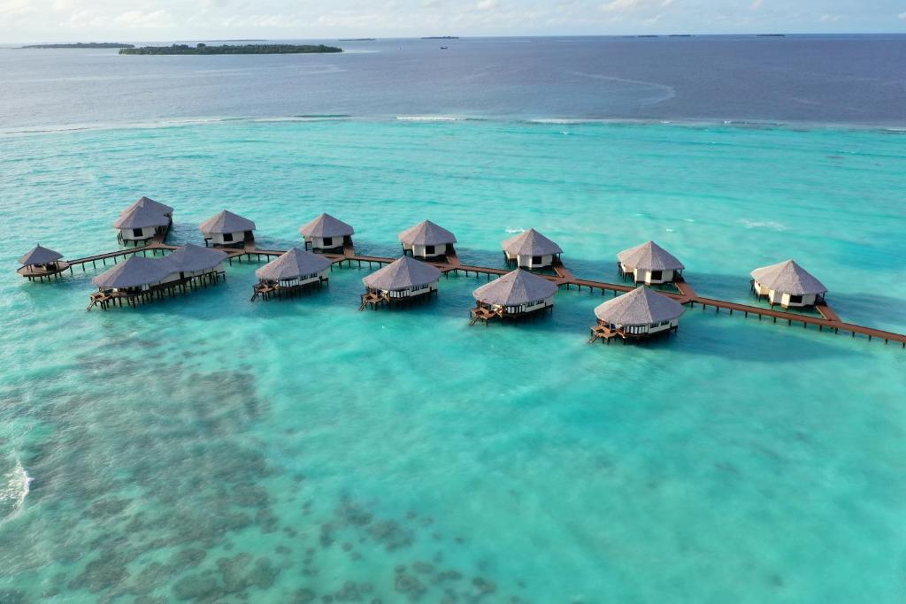 Kihaa Maldives, Baa Atoll – Updated 2023 Prices