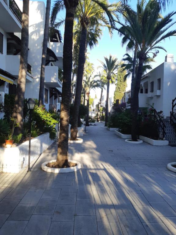 a city street with palm trees and buildings at Marino114 in Alcossebre