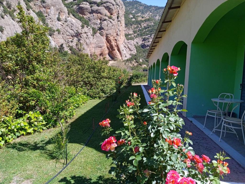 un jardín con flores y un edificio con una montaña en Guesthouse Eleftherios, en Kalavrita