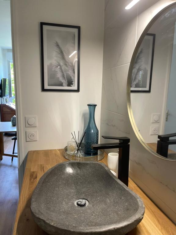 a bathroom with a sink and a mirror at Studio quartier prisé de la Genette in La Rochelle