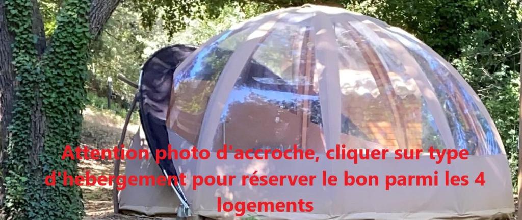 a dome tent with a person standing inside of it at nuit étoilée in Mondragon