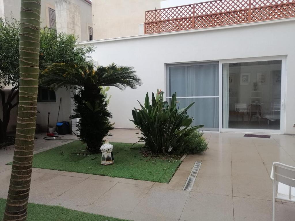 un giardino con una palma e una casa di Acasha loft a Vittoria
