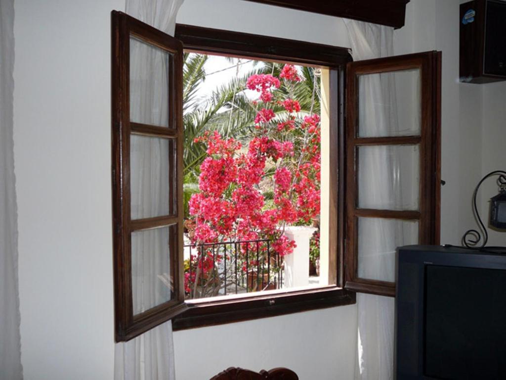 Zahrada ubytování Hotel Porto Potha