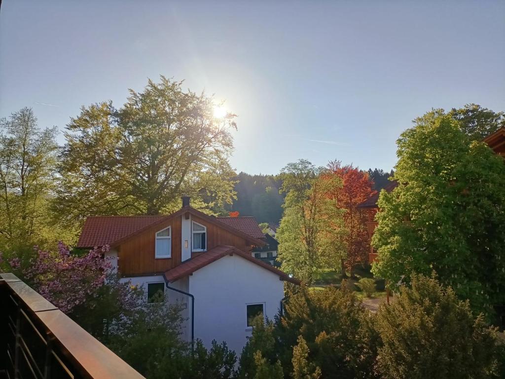 Příroda nedaleko hotelu