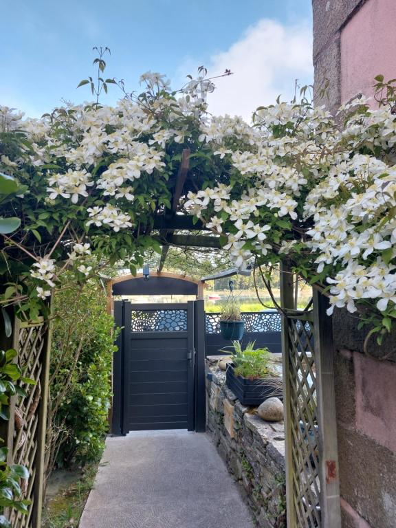 ein schwarzes Tor mit weißen Blumen drauf in der Unterkunft Chambres d'Hôtes vue mer entre Plestin les Grèves et locquirec in Plestin-les-Grèves