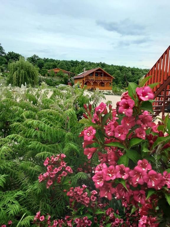 Vonkajšia záhrada v ubytovaní Rózsapark Panoráma-apartman - maximum 4 fő részére