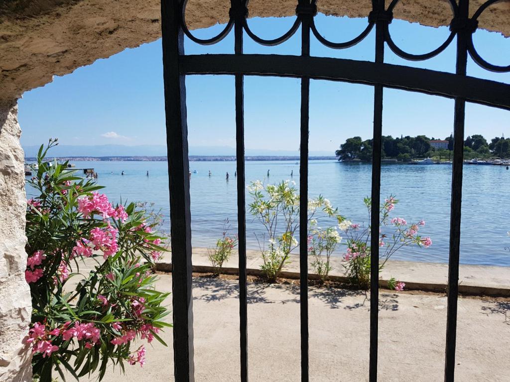 a view of the water from a window with flowers at Apartments Villa Eden in Preko