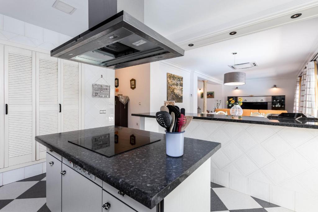 Kuchyň nebo kuchyňský kout v ubytování YourHouse Villa Marian