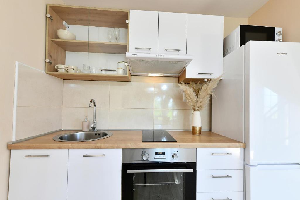 Kuchyň nebo kuchyňský kout v ubytování Apartments Green Linden