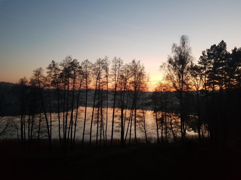 Príroda v okolí apartmánu