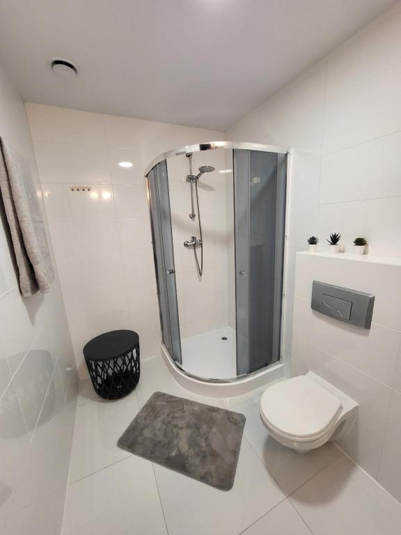 Kúpeľňa v ubytovaní Apartament Perła A31