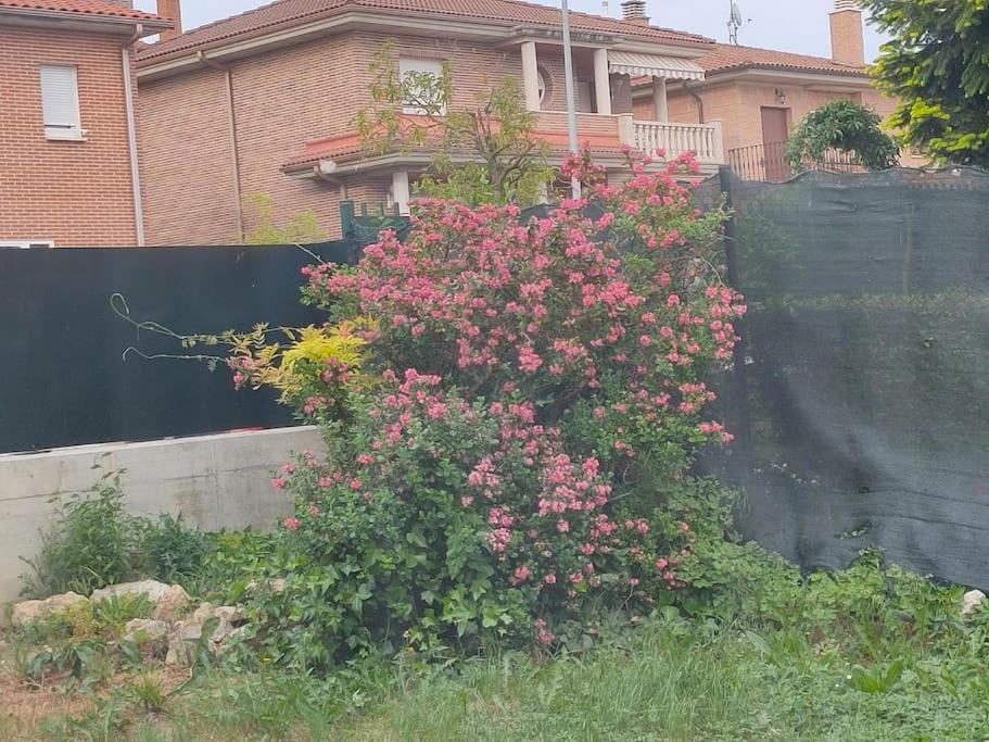 Zahrada ubytování Casa amplia y luminosa cerca de Pamplona - Izarren Etxea