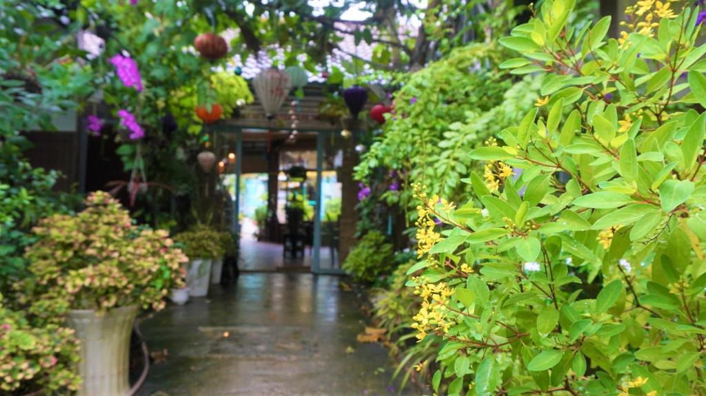 Vườn quanh Canary Bungalow