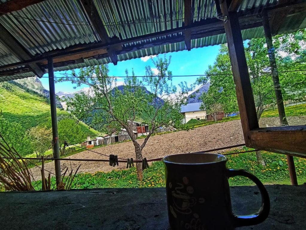 Сад в Guesthouse MAMUKA zhabesh