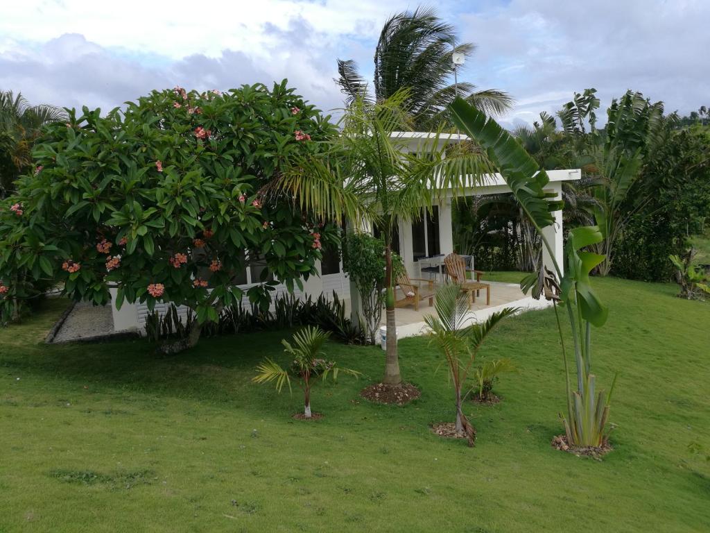 a house with palm trees in front of it at Domaine Vista Linda La casita del Loma Vista Mar in Río San Juan