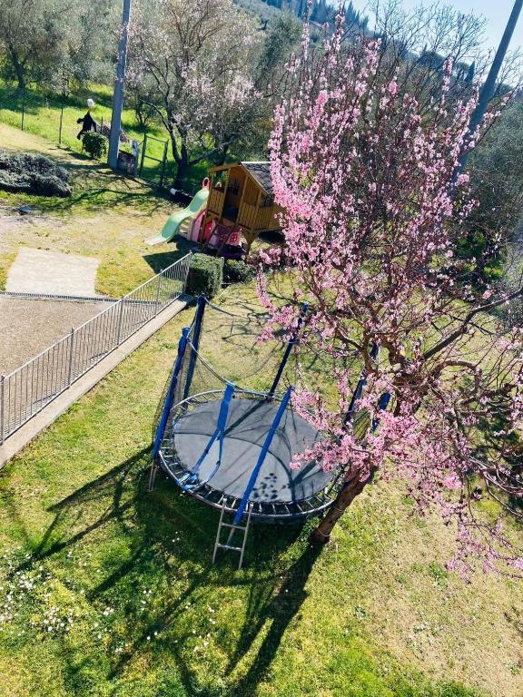 Ogród w obiekcie Le Coccole Del Trasimeno