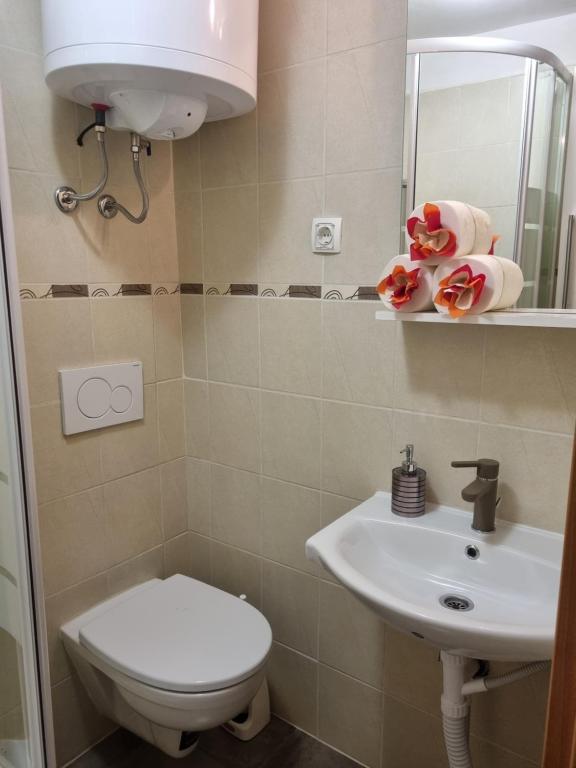 Koupelna v ubytování Apartmani Milenko Lubenice