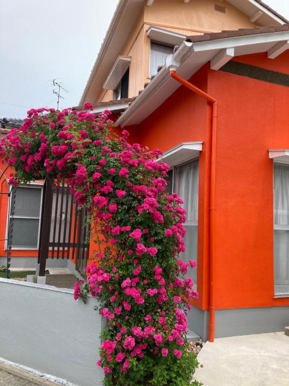 einen Busch rosa Blumen an der Seite eines Gebäudes in der Unterkunft SIBARIAN Guest House in Kaga