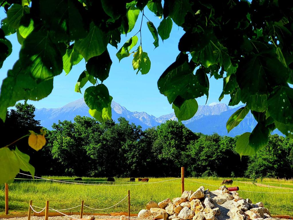 Fotografie z fotogalerie ubytování Glamping alp hut in camping Garden Park v destinaci Radovljica
