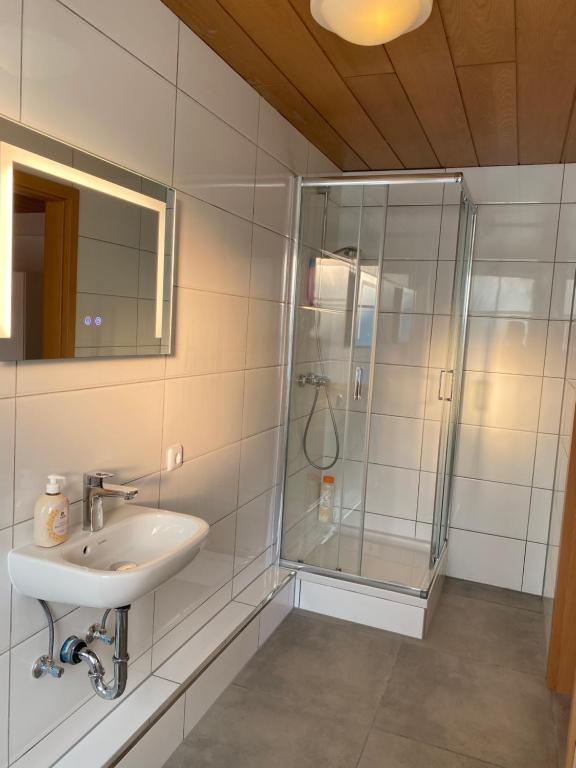 uma casa de banho com um lavatório e um chuveiro em Panda Royal Klettgau em Klettgau
