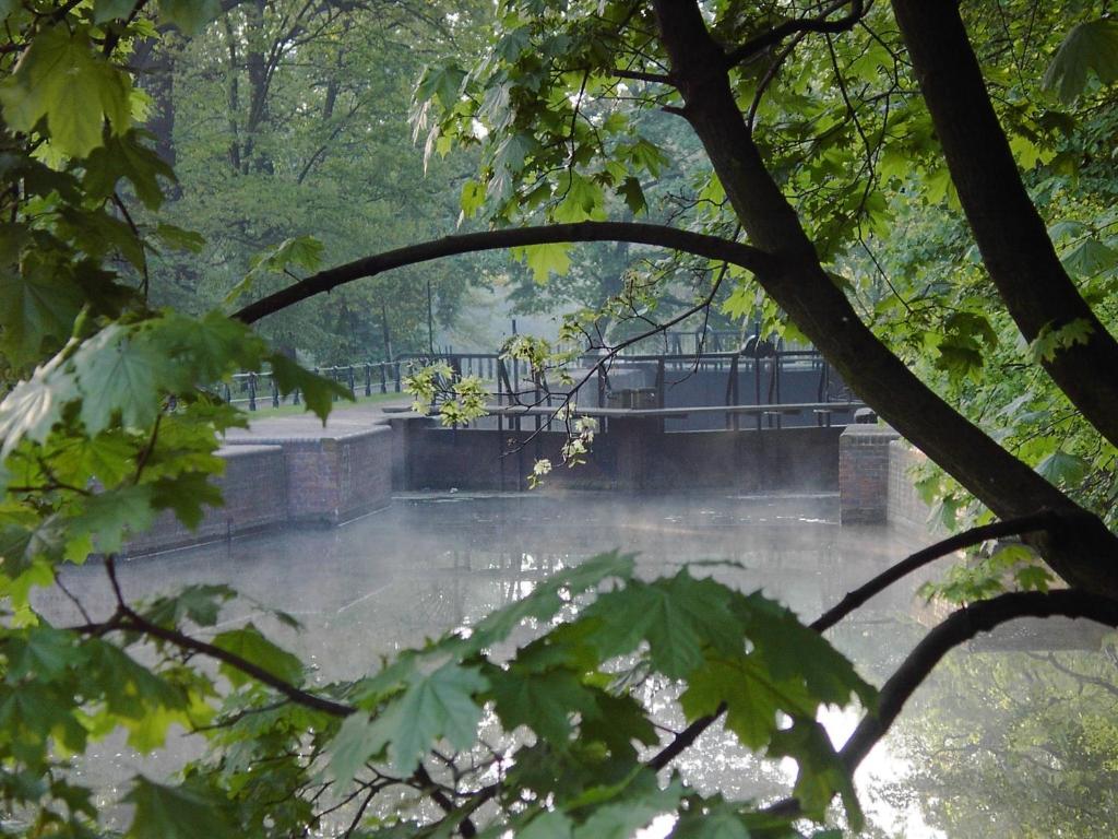 Park Hotel Bydgoszcz - Resim 29