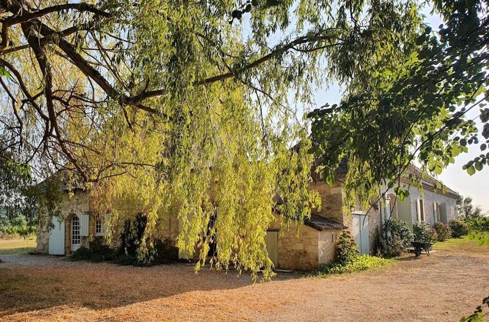 un arbre suspendu au-dessus d'une maison avec un bâtiment dans l'établissement Clair de Vigne, à Monbazillac