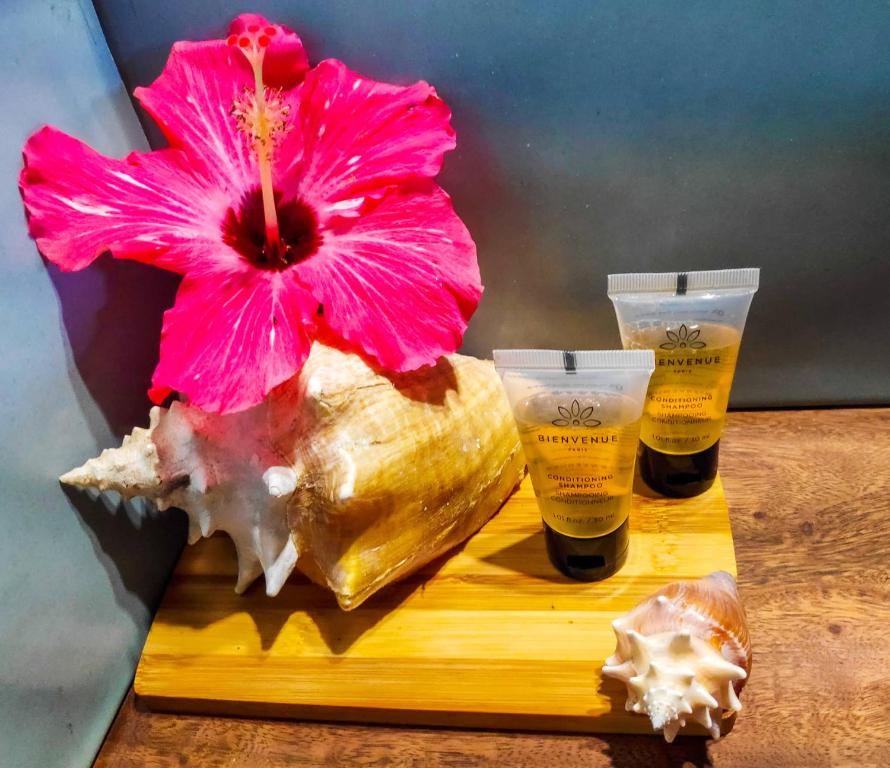 Fotografie z fotogalerie ubytování Bahia Coral Lodge v destinaci Bocas del Toro