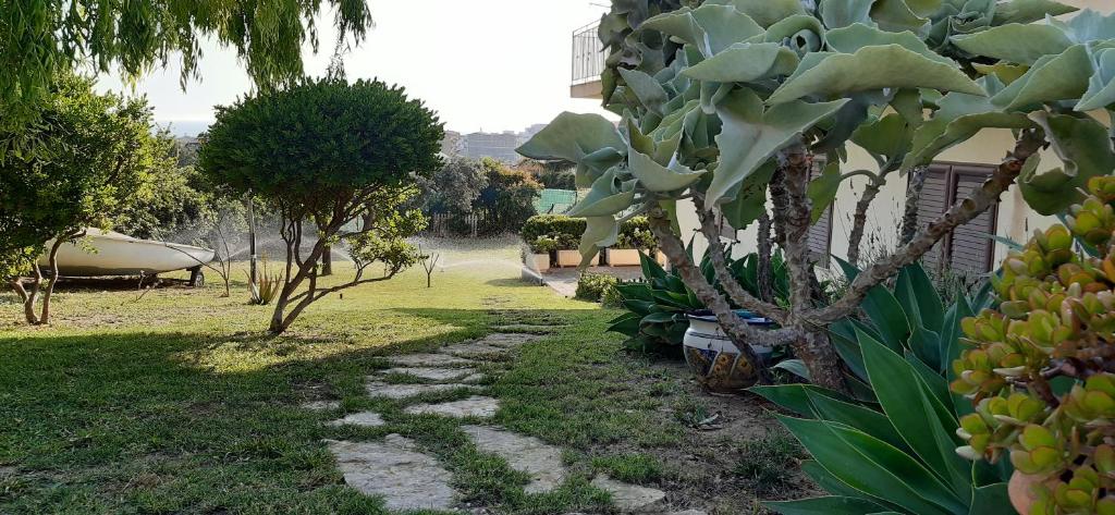 Zahrada ubytování B&B La Casetta degli Aranci