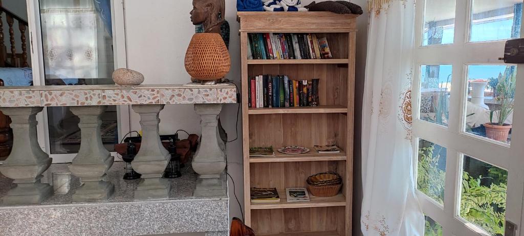Knihovna v apartmánu