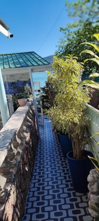 Příroda nedaleko apartmánu
