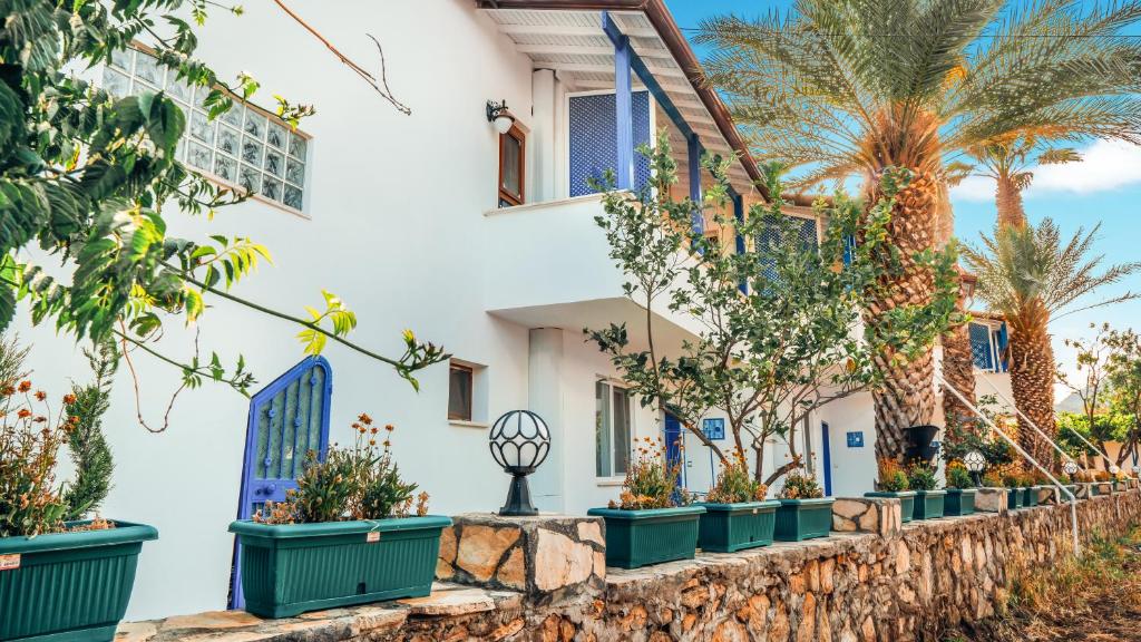 a white building with potted plants on a stone wall at PALMIYE OTEL EVLERI in Datca