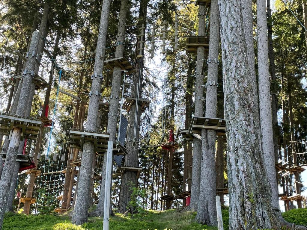Zahrada ubytování Hundefreundliche Bergwohnung neben der Skipiste - Mittelstation Skigebiet Gerlitzen