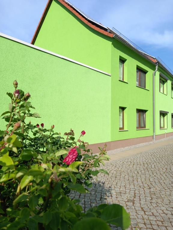 a green building with a pink flower in front of it at Gästewohnung Meyer in Seehausen