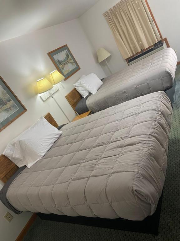 PINE VALLEY MOTEL - Sala Queen Com Vista Para O Jardim