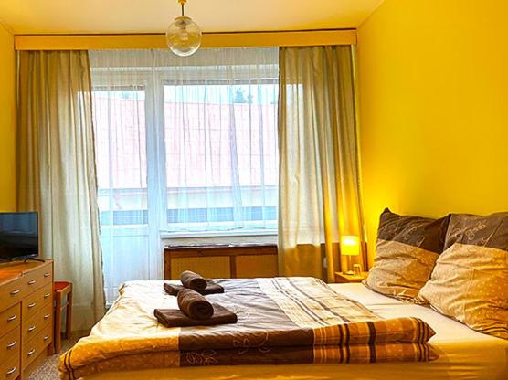 Hotel Slatina - Camera Tripla Standard