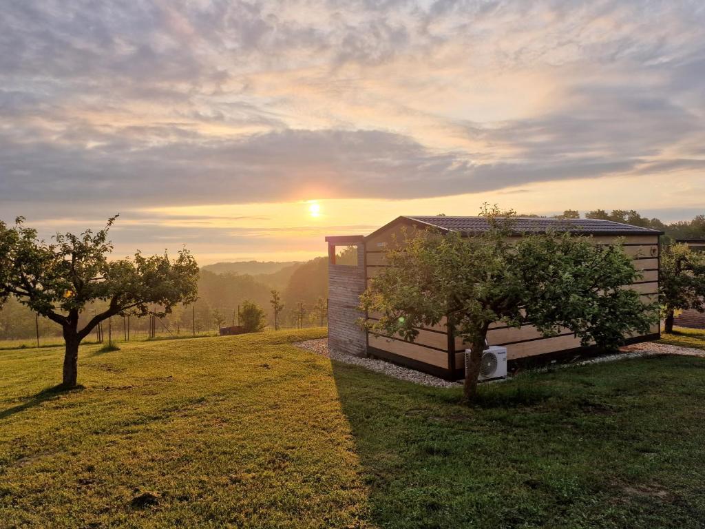 a house in the middle of a field with trees at VINEA PANONIKA wine & mind retreat in Radenci