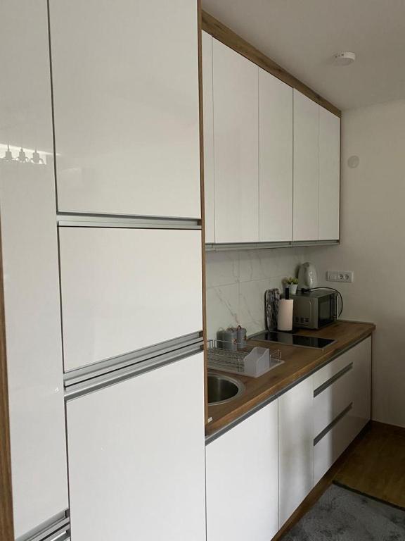Kuchyň nebo kuchyňský kout v ubytování Apartman 13
