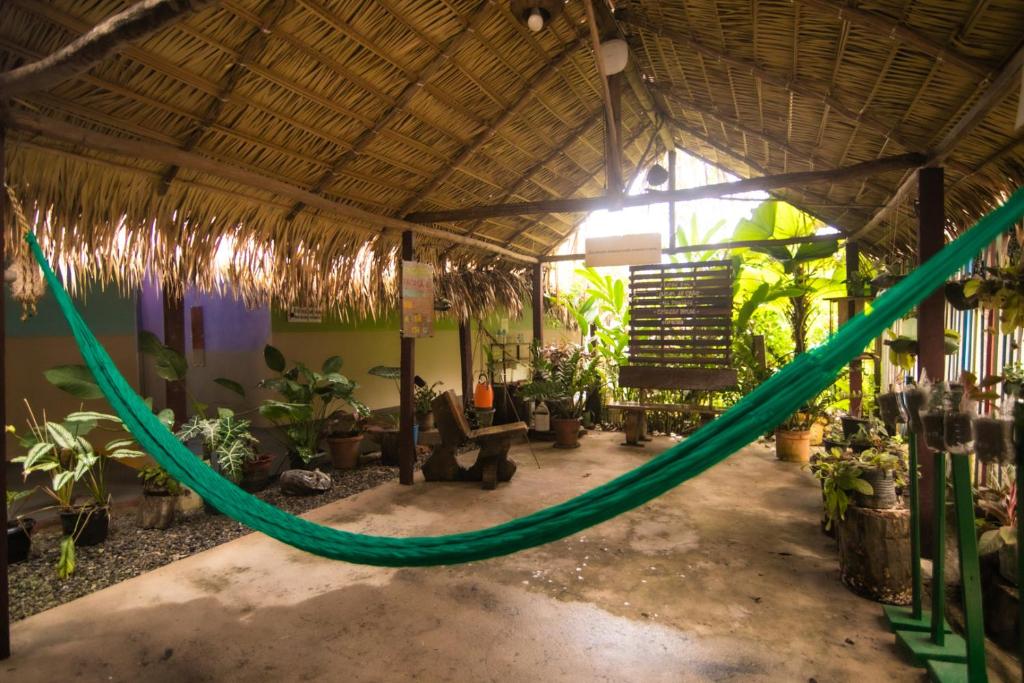 Zahrada ubytování Pousada Coração Verde