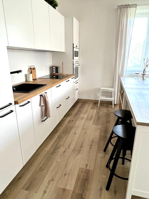 Kuchyň nebo kuchyňský kout v ubytování Apartmány Zahražany