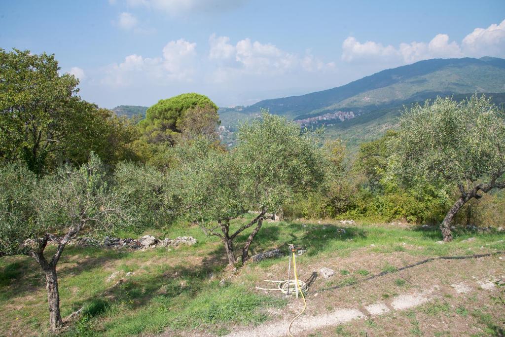 Táj a villa közelében