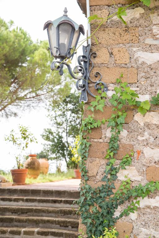 A garden outside Heritage mountain top Villa near Rome w/ Pool & Panoramic views