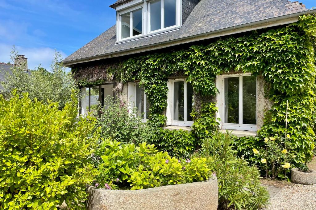 une maison recouverte de lierre vert avec des buissons dans l'établissement La Triolette, maison chaleureuse, indépendante et refaite à neuf dans le Vieux Coutainville, tourisme ou télétravail, à Agon-Coutainville