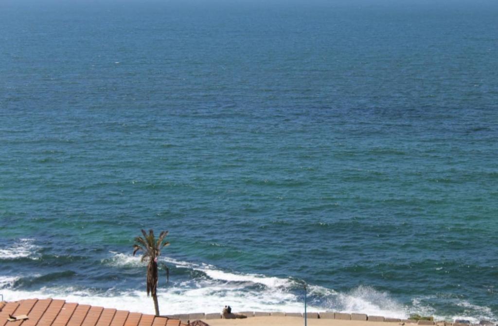 Alexrent front sea view