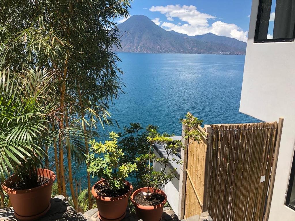 un balcón con plantas y vistas al agua en Rustic Charm Cliffside Retreat, en Jaibalito