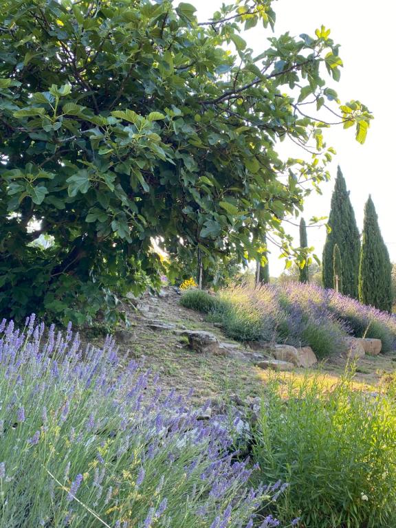 Vonkajšia záhrada v ubytovaní Villa Montanare