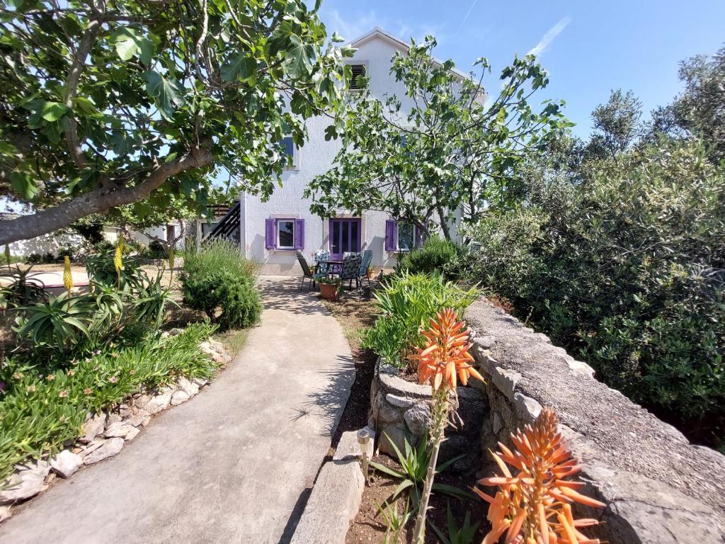 Casa di Castello - 12