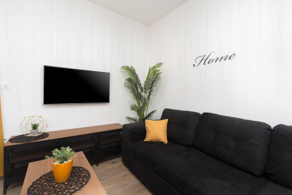 TV a/nebo společenská místnost v ubytování Apartments Residence Radovan 1