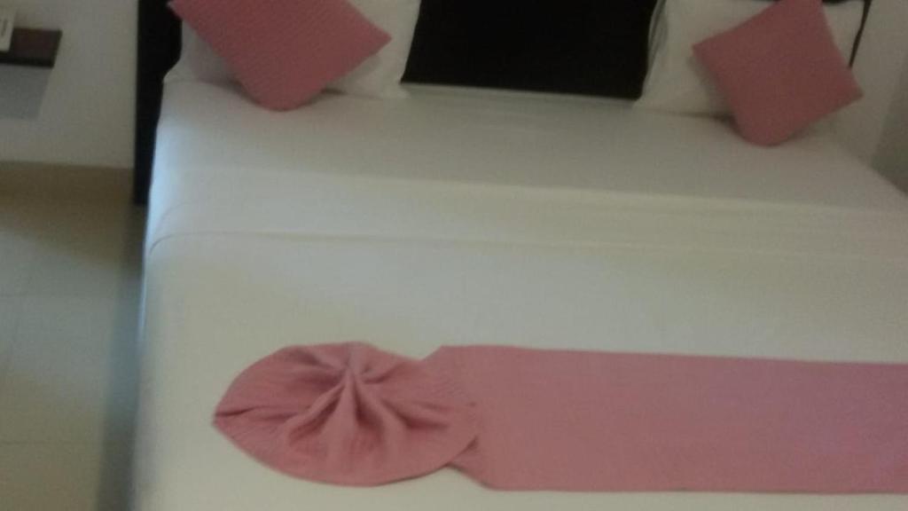 Foto sihtkohas Digana asuva majutusasutuse Hotel Digana galeriist