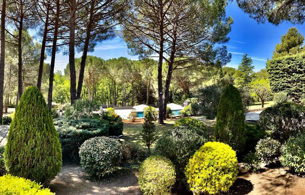 a garden with many bushes and trees at Provence mon amour in La Tour-dʼAigues